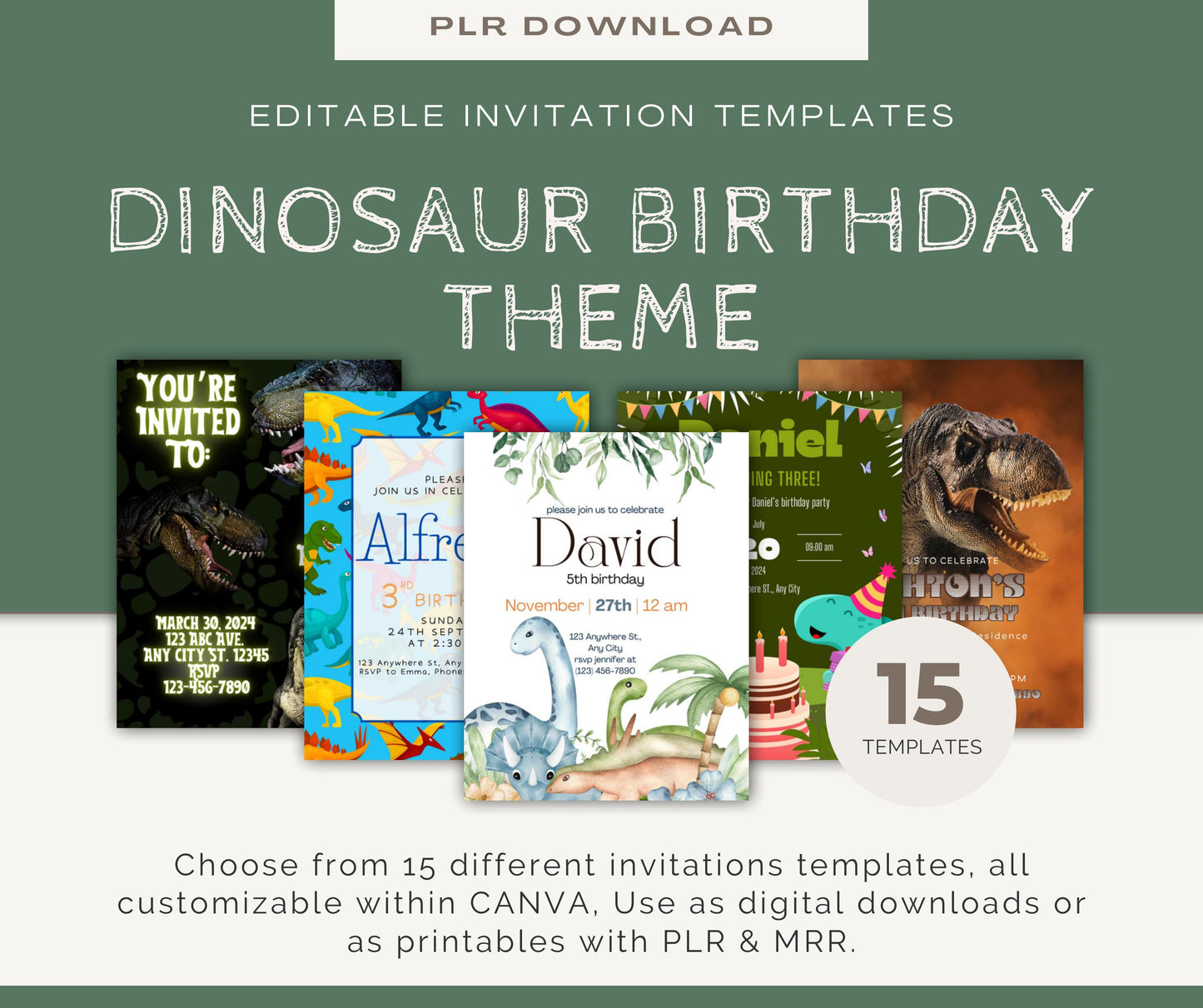 Dinosaur Birthday Invitation 15 Pack